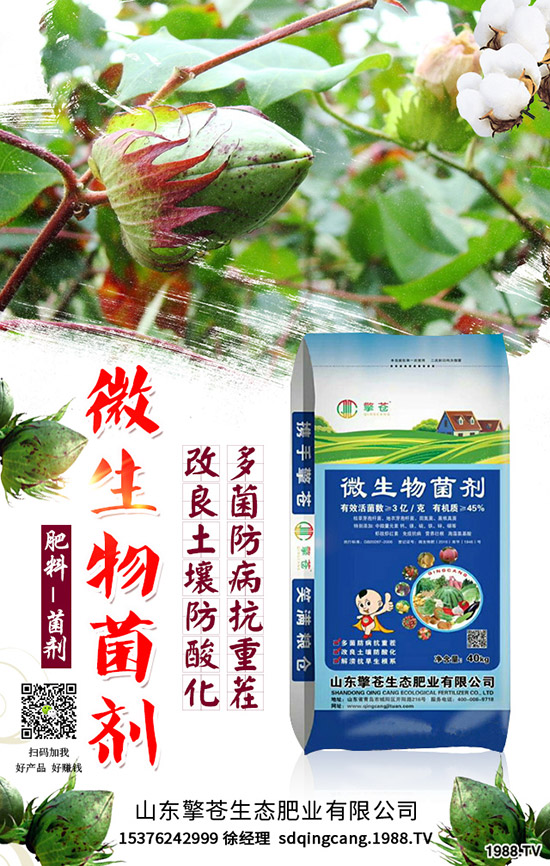     ����(ji��)���R��2020��1�������ܷ�ͦ�r�����������߄��A�y��