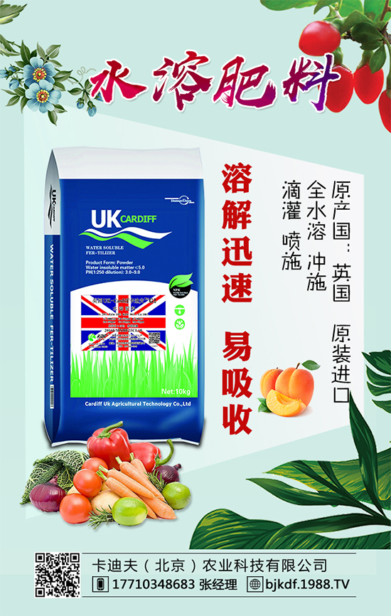 �S����Ҫ��ô�Nֲ���S���ˌ�(du��)�h(hu��n)���l����Ҫ��