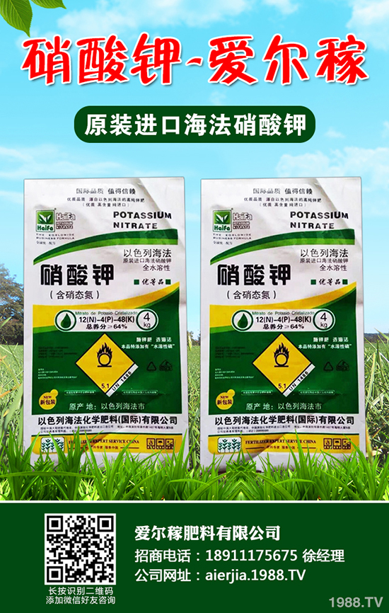 �����J�S��(du��)���w����Щ��̎���J�S�Ĺ�Ч���ü��I(y��ng)�B(y��ng)�r(ji��)ֵ