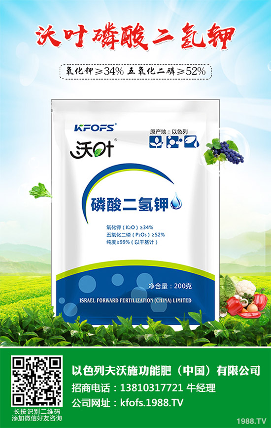 �۲˲���������ЩΣ����ԓ��η������۲˲�������Σ���c����