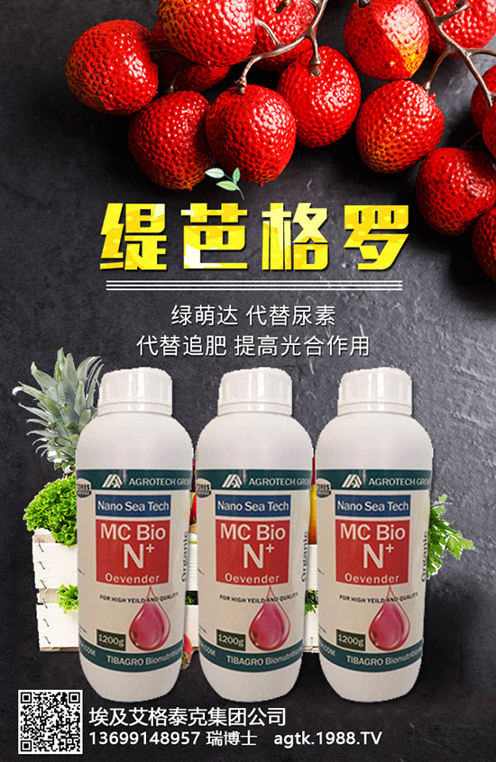 ���A�ĠI�B(y��ng)�r(ji��)ֵ����Щ����Ч�c��������Щ��������Щ��Ⱥʳ����