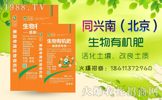     2020⛷ʃr���߄���Σ����������߄��A(y��)�y��