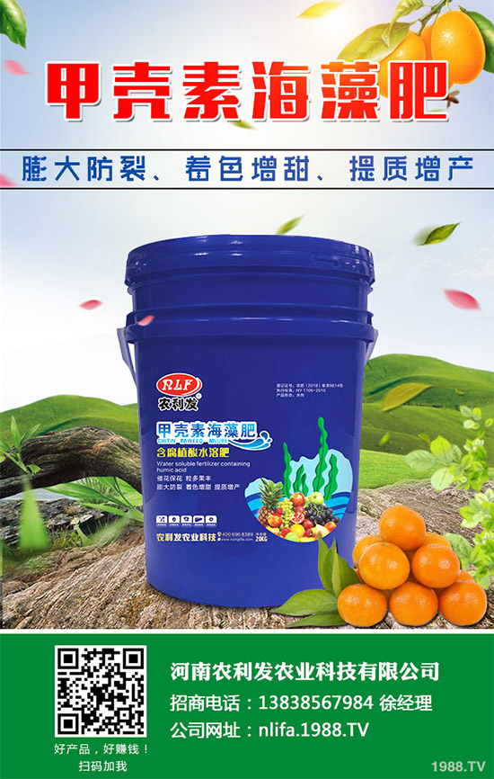 �t���c�uѪ������Щ�^(q��)�e�����߹�Ч�÷��cʹ�ý���