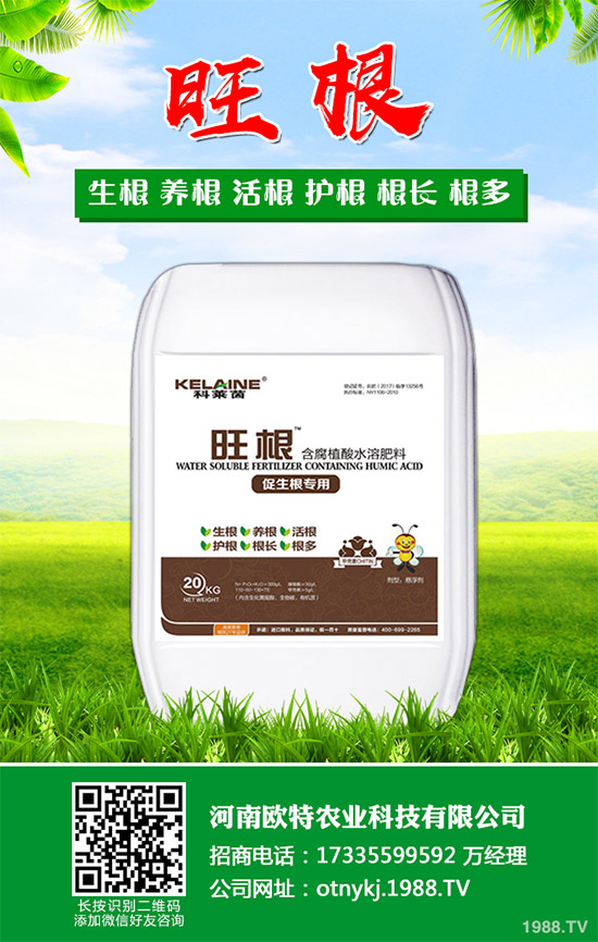 �t������Щ���湦Ч���t�ٵĹ�Ч���ü�������Ⱥ