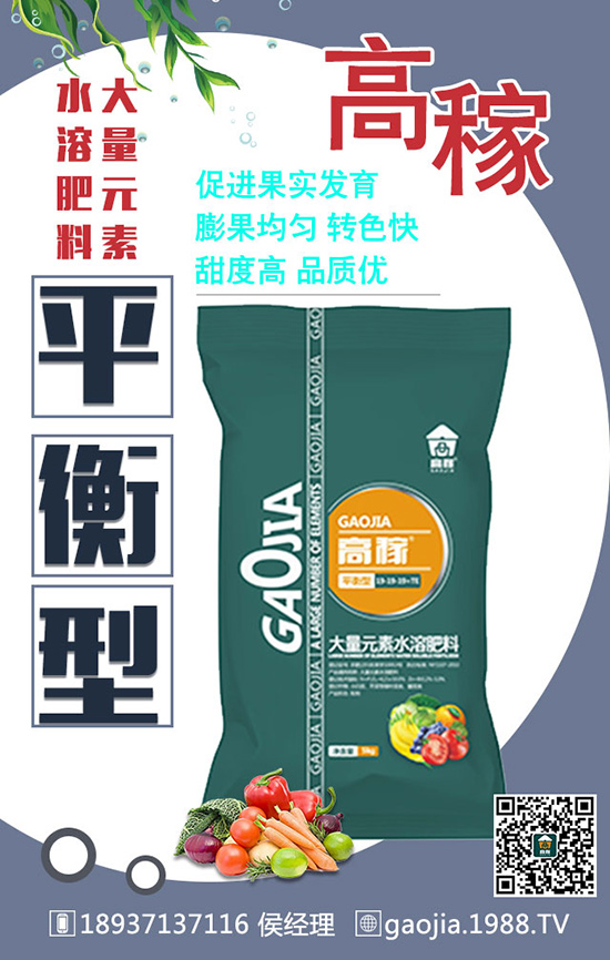 ���~���������߮a��ʩ�ʼ���Ҫץ����