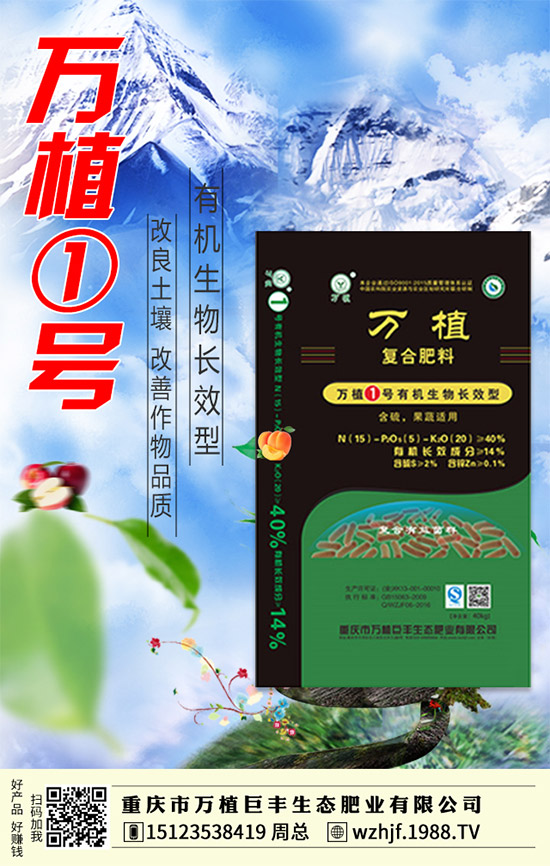 臨近年末,二銨市場行情依舊低落!2020-1-4今日最新二銨價格早報!