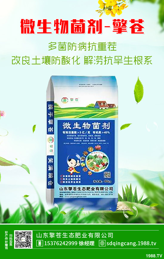     2020��1��4�մ���(ji��)ǰ���@�r���ϸ�����������һ�@�r�������