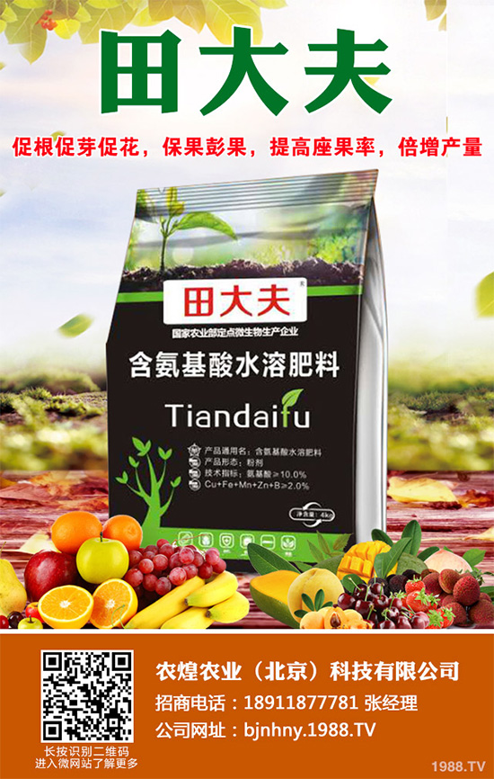 種植什么水果會賺錢?2020年水果種植指南