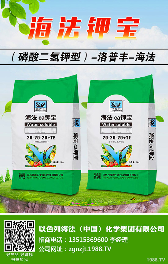 �������ö�������޼�����䶬���޼��ĕr�g��������