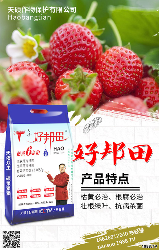 2020���r(n��ng)��Nֲʲôˮ��ٍ�X����Щ�N����(sh��)Ʒ�N���^����