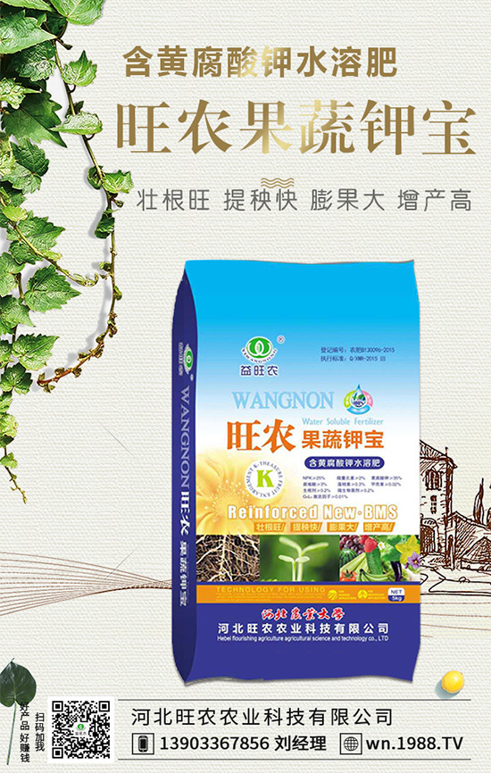 ���������L��(x��)������Щ���������B(y��ng)�o(h��)Ҫ�c(di��n)��