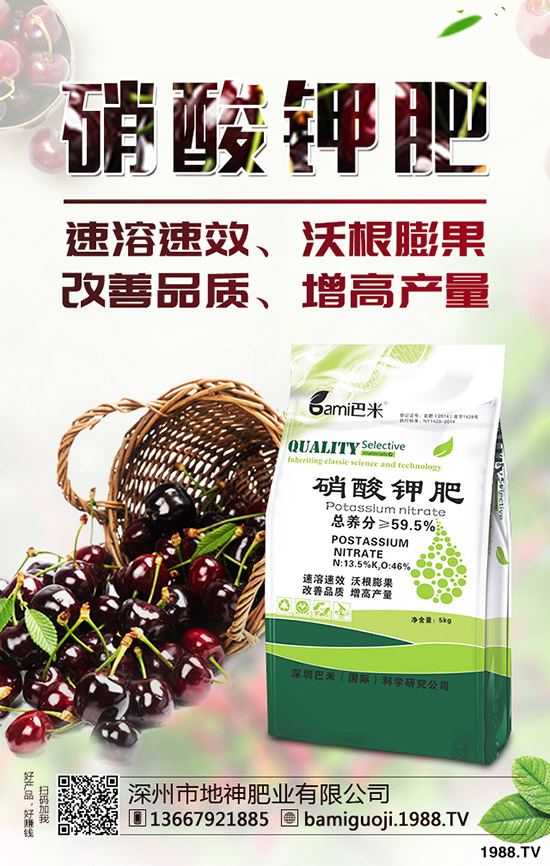 �t������r�g��ʲô�r�����t�����緽������Щ��