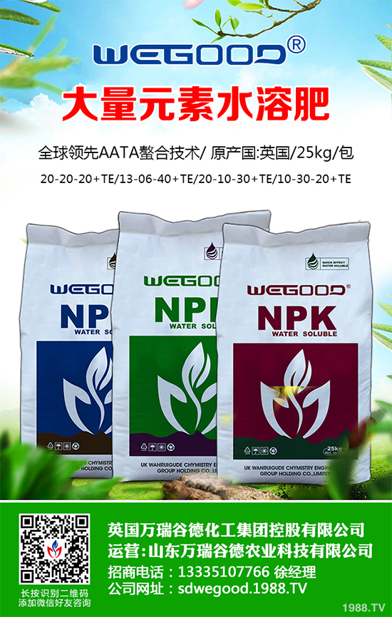 ¶������ʲô�r��Nֲ��¶�������߮a(ch��n)�Nֲ���g(sh��)