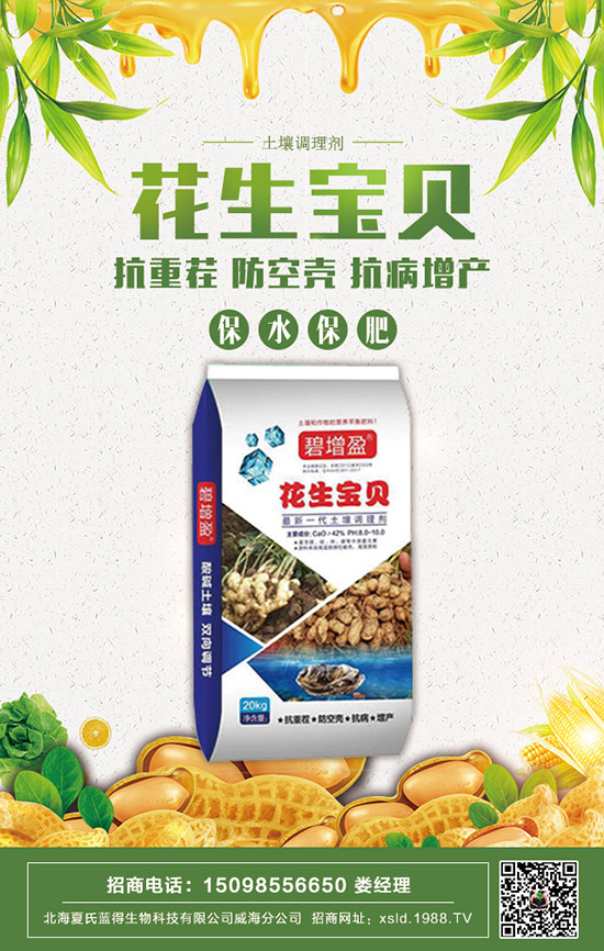     2020���������@�r�����ݱP�������@�r�����