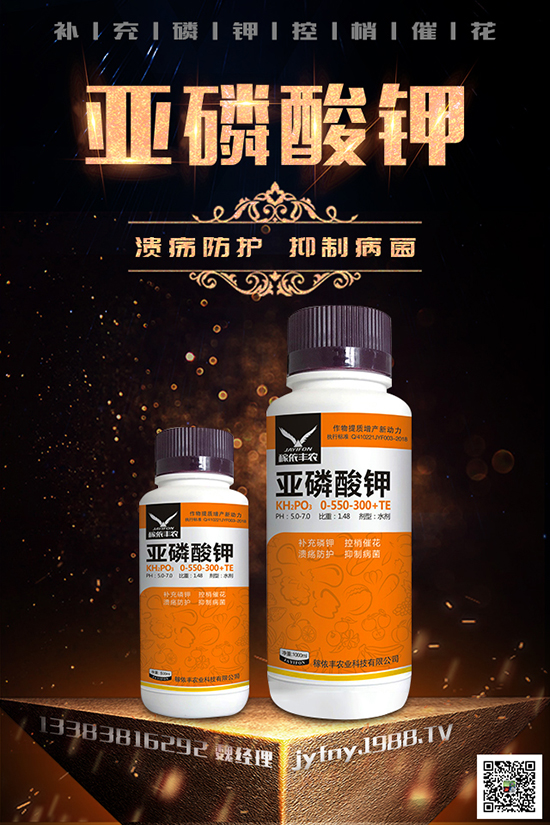 2020�N�ڷ���ٍ�X�᣿�ڷ��ѵķNֲ��������Щ��