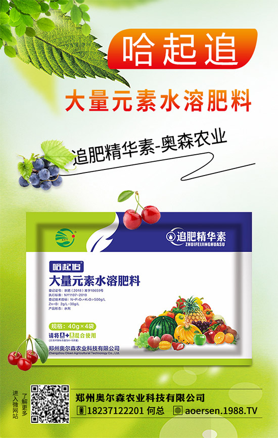 ������ԓ��ηNֲ��������ķNֲ��������