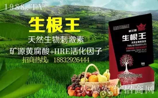 С���q�r(ji��)����(g��)�e��(b��o)�r(ji��)���^(gu��)2500Ԫ/����