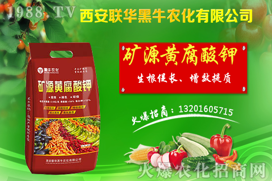 �＾����ԓ��ι������＾������푪(y��ng)������Ĵ��`�^(q��)��