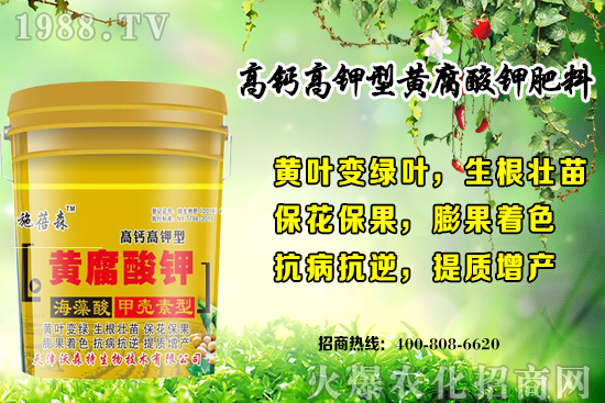 ��ݮ���L(zh��ng)��(du��)�h(hu��n)��Ҫ������Щ���＾��ݮ��ֲע�����(xi��ng)�͹�����ʽ��