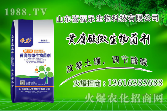 �����r(ji��)��(w��n)��ƫ��(qi��ng)��2020��10��14�ջ����r(ji��)���������