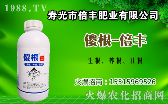 ���ӷNֲԓ���ʩ�ʣ����ӵĻ����c׷�ʷ�����