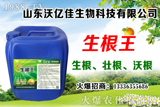 Ӱ푲�ݮ��ѿ�ֻ���������Щ����ݮ��ѿ�ֻ����c��ֲ����Ҫ�c��