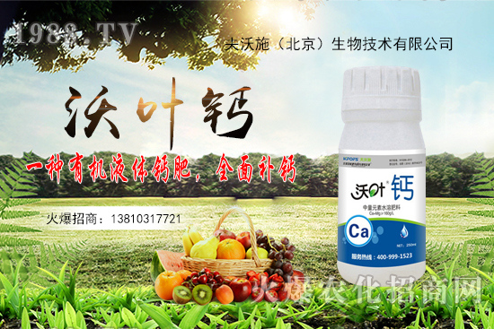 ����߀���ٝq����2020��10��20�ջ����r������