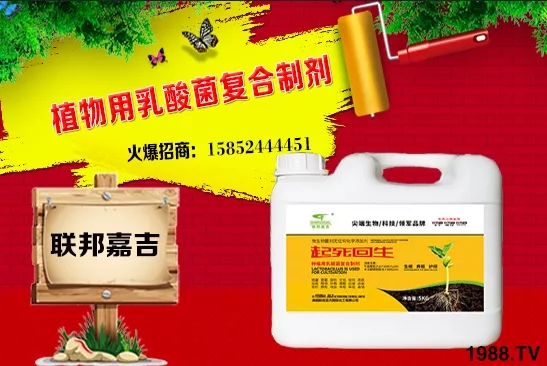 ���[���L�l������Щ�����[������c���＾������