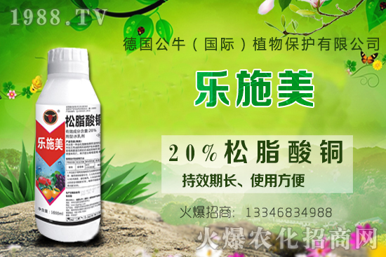 ������ʩ�ʕr�g��ʲô�r����������ԓ���ʩ����