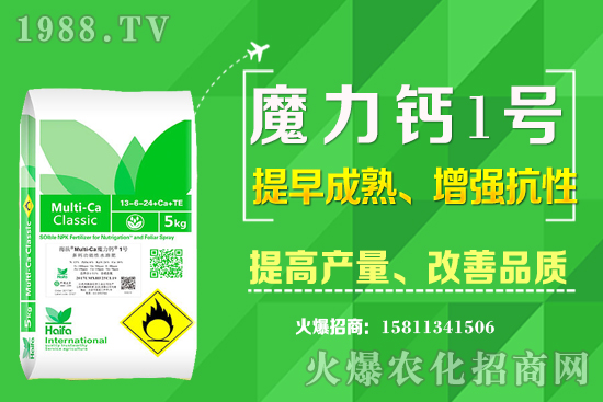 ʮ����Ѯ�m�ϷNֲʲô��ˎ�ģ���Щ��ˎ��ٍ�X(qi��n)�������