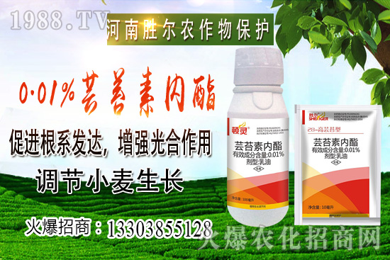 С���r(ji��)���ϝq��(ji��)����u�d�������п��ڣ�10��22��С���r(ji��)������