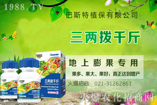 Ӱ�ţϥ��ϵ�����L��������Щ��ţϥ����������ʲô�~�����