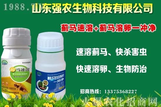 �ﶬ11�·Nֲʲô�߲˱��^���m���߲˷Nֲע�������