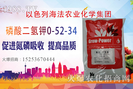 2020��10��28�����؃r��(w��n)�����������؃r�������