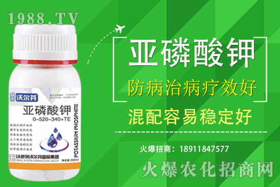 �������Ҫ��������ʲô������֮�g��ʲô�P(gu��n)ע��