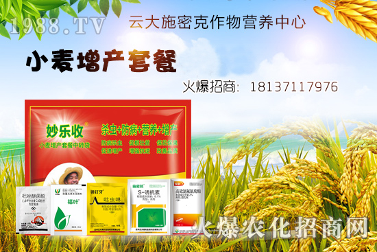 С�����N�󲻳�������ʲôԭ����ɵ���