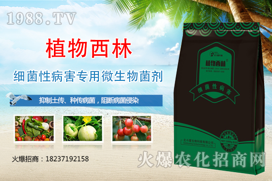 ����̿�Ҳ��Y����ʲô������̿�Ҳ��l(f��)��ԭ�򼰷���