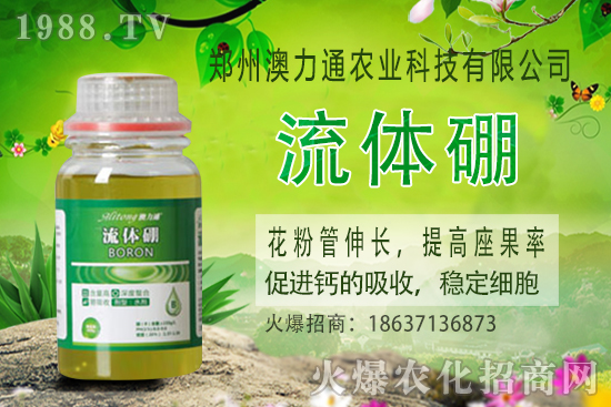 ⛷ʃr����m(x��)���q��2020-10-30����(n��i)⛷ʃr���rһ�[