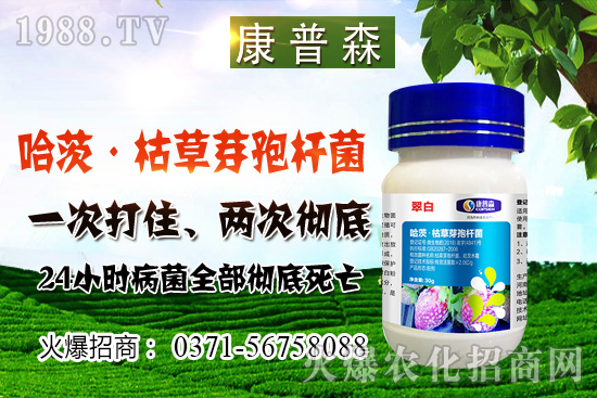 С���r��ֹ���ط�(w��n)��С���r���ܝq���٣�