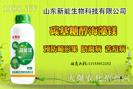 ���������ݮ���ι�ԭ�򣬳��F(xi��n)���ι���ô������