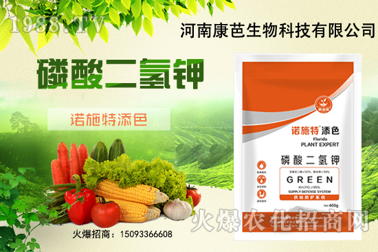 �������￹�����������⛼����������������8����