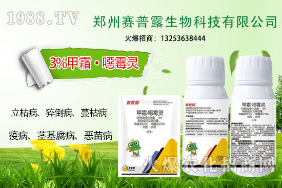 ��ʲô˪ù����⧵����װl(f��)���y������