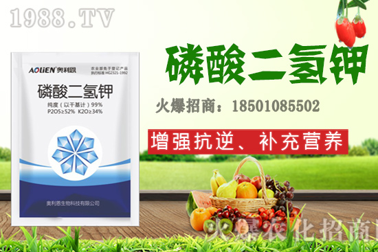 �����Ѿ���+�|̦�أ�������������ʲô������