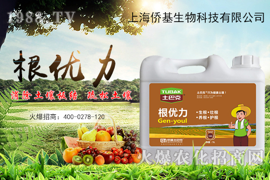 ����������ʲô�����������x������Щ��