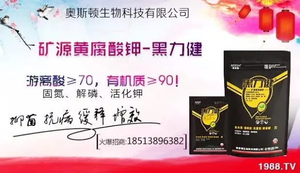 ����ʲô�r�g���N��ע���������Щ�����ش���Nֲ�r�g����