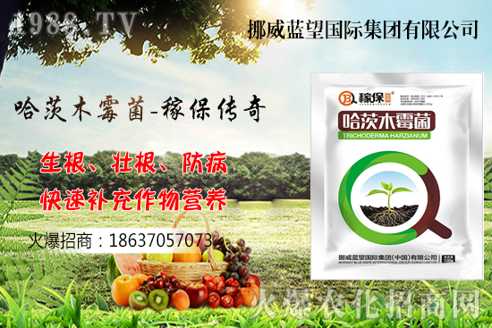 �ի@���С����΃�(ch��)������С����(ch��)���P(gu��n)�I�c(di��n)������