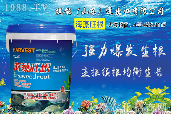 С���Nֲ�r(sh��)�g��δ_����2020��С���Nֲע����Щ���}��