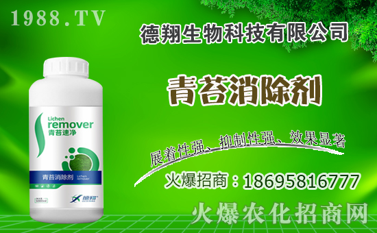 �Ͳ�ʲô�r�g�Nֲ���Ͳ˷Nֲ������ʲô������Щע����헣�