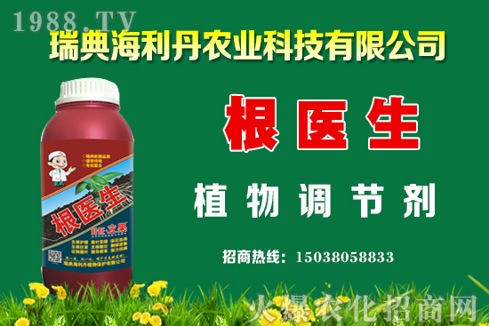 �Ͳ���ô��������߮a�����Ͳ˿���������ʩ����Щ��