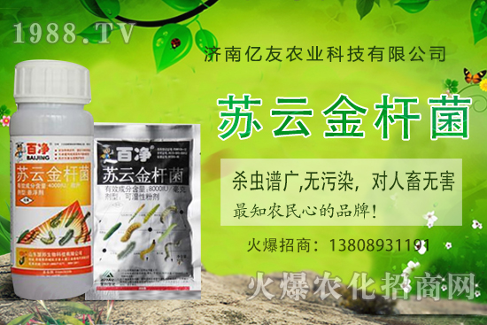 �S�ҷNֲ��(y��ng)ԓע����Щ���(xi��ng)���S�ҷNֲ�r(sh��)�g�����g������